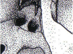 Ardakillen Skull BC 450, View A